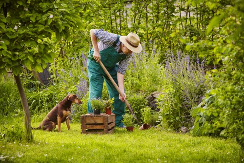 Gardener working in a Twickenham front garden