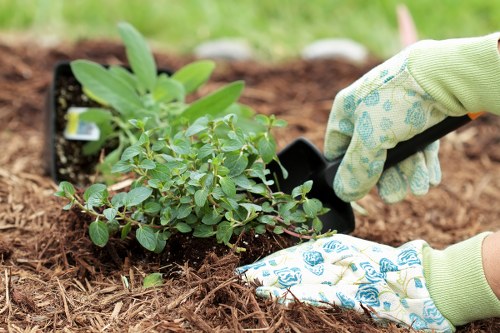 Close-up of compost piles and separated garden waste streams