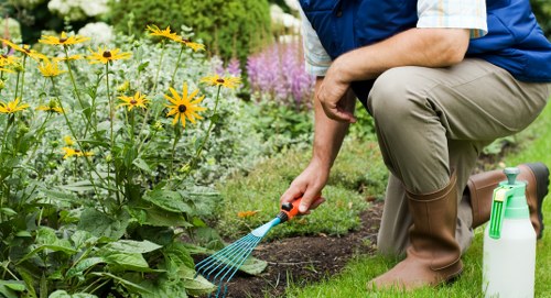 Gardening crew performing routine maintenance in a suburban garden